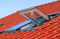 Butley High Corner roof window